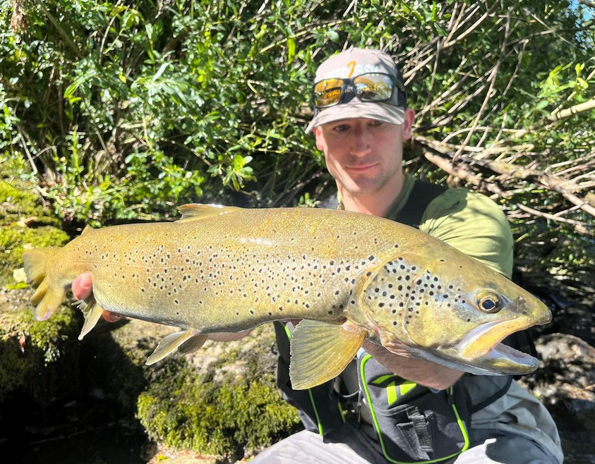 Le bas de ligne pour la pêche à la truite en rivière : bien le choisir et le préparer