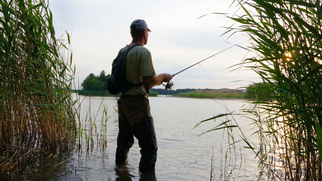 Quel matériel de pêche choisir pour un débutant ?